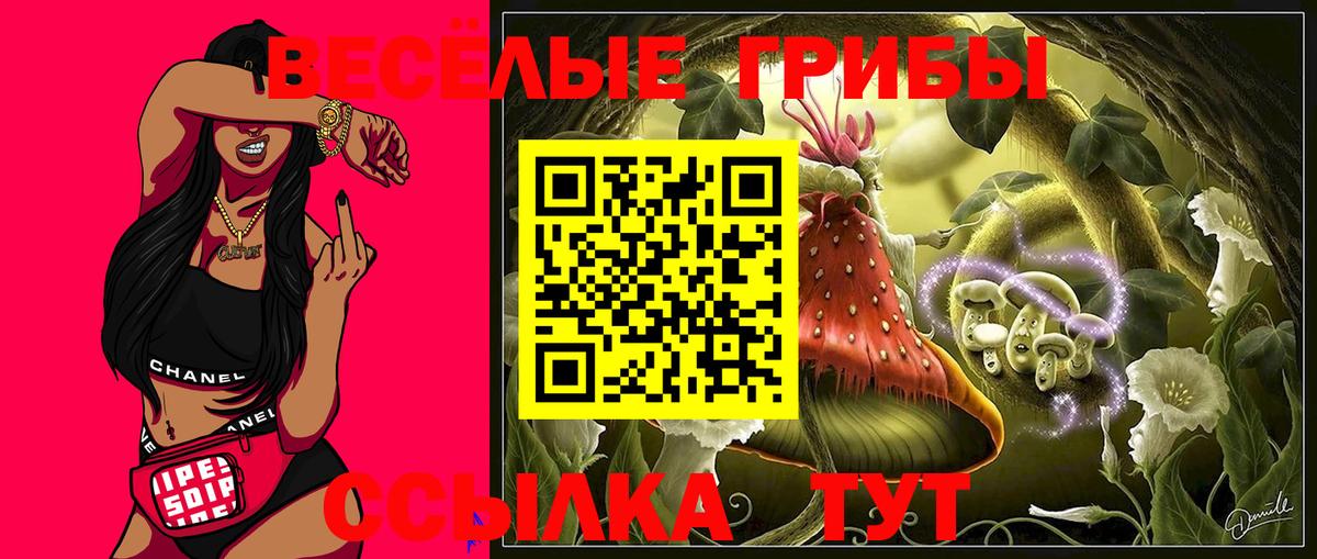 Псилоцибиновые грибы GOLDEN TEACHER  Вход с VPN  Кисловодск 
